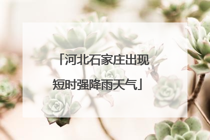 河北石家庄出现短时强降雨天气